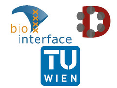 Logos DKs BioInterface TU-D.jpg